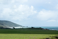 Луга.